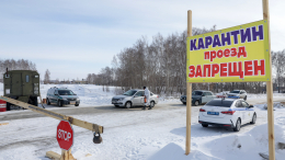 Карантин и проверки: в ряде регионов ввели ограничения из-за вспышек пастереллеза среди скота