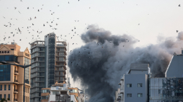 Популяция российских перелетных птиц оказалась под угрозой из-за войны в Иране