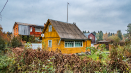 Заработал новый закон: в Омской области начали изымать заброшенные дачные участки