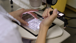 Мужчина годами скрывал от жены, что является донором спермы