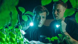 «Делаем 24 на 7»: как создавался Российский рейтинг самых популярных сериалов