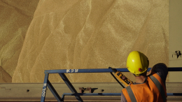 «Лидирующие позиции»: Патрушев об экспорте российских продуктов в 2026 году