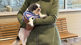 «Это мой пес!» — сбежавшая из дома собака вернулась к хозяйке спустя девять лет