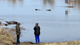 Один из поселков Тюменской области подтопило из-за паводков