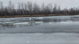 Вышли на опасный лед: в Ульяновске возобновили поиски пропавших школьников