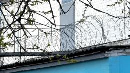 Суд приговорил к 22 годам лишения свободы серийного убийцу бабушек