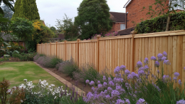 Небольшое нарушение: за какой забор могут оштрафовать владельцев земельных участков