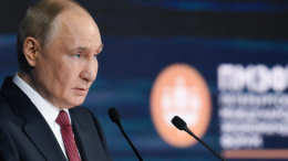 Владимир Путин примет участие в Петербургском международном экономическом форуме