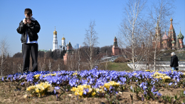 Аномальное потепление: апрель в Москве будет похож на май, а Сибирь и Урал побьют рекорды