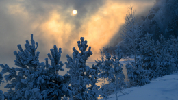 Исчез вслед за семьей? Сын Усольцевых перестал выходить на связь