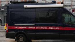 СК России представит доклад о смерти подростка от инсульта под Курском