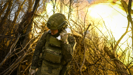 Расчет гаубицы Д-30 уничтожил личный состав ВСУ в опорном пункте. Лучшее видео из зоны СВО