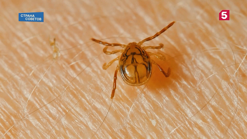 Сто шестой выпуск