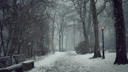 Жителей Подмосковья предупредили о возможности выпадения снега на этой неделе