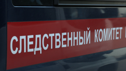 «Кровь хлестала сгустками»: мать поскользнулась и умерла на глазах у детей в игровой зоне ТЦ в Барнауле