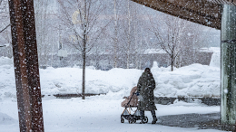 Мишустин рассказал о плюсах снежных зим в России