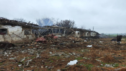 ВСУ ударили по ферме в Запорожской области: 14 лошадей сгорели заживо