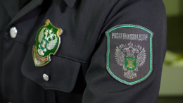 Патрушев подвел итоги работы Россельхознадзора в 2025 году