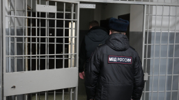 Нападение на конвоиров в подмосковном суде сняли на видео