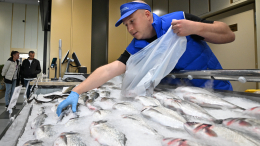 Под видом свежей: как обманывают покупателей рыбы в магазинах