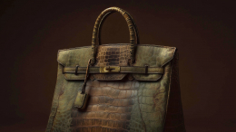 В Нидерландах выставят на аукцион сумку из «кожи динозавра» за $500 тысяч