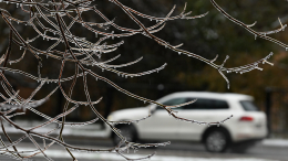 Рано радовались: в Москву вернуться ночные заморозки