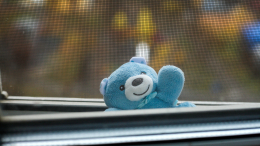 Предотвратить трагедии: в России появится ГОСТ на оконные антимоскитные сетки