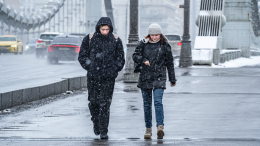 «Будет казаться, что вернулась зима»: когда Москву накроет метель