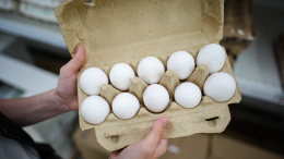 Яйца больше не «враг»: ученые пересмотрели влияние продукта на холестерин