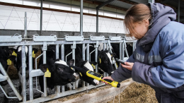 Дорого и неэффективно: российские фермеры просят отменить систему маркировок