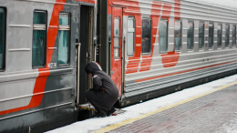 Проводнице, которую пассажир вытолкнул из вагона, окажут всестороннюю поддержку