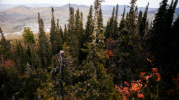 «Вносили хаос»: исчезновение Усольцевых пугающе повторяет кровавую историю 2006 года