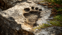 Найдена забытая ветвь человечества: они выжили, но растворились во времени