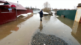 Паводок в Нижегородской области: что известно