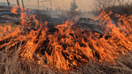 Природные пожары в Хакасии добрались до жилых домов