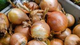 За снятие шелухи с лука в магазине могут оштрафовать: предупреждение юриста