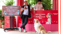 Собакам вход разрешен: в центре Москвы пройдет маркет для домашних животных