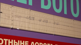 Музей космонавтики показал снятую перед полетом в космос ЭКГ Гагарина