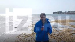 «Известия» первыми среди мировых СМИ побывали на острове Харк после начала конфликта