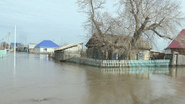В Алтайском крае из-за паводка подтопило 27 жилых домов