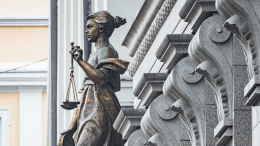 Курьер из дела Долиной заявила, что сама стала жертвой мошенников