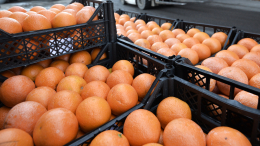 Опасный фрукт: Грейпфрут может представлять серьезную угрозу