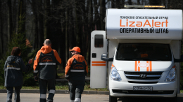 В Самарской области более 200 волонтеров ищут пропавшую трехлетнюю девочку