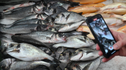 Помогите своей печени: диетолог рассказала, какая доступная рыба полезнее всего