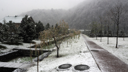 Весна отменяется: Сочи накрыл ледяной шторм