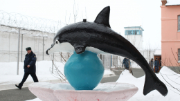 Жизнь за решеткой: как устроен быт заключенных в «Черном дельфине»