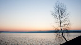 Тело женщины нашли во время поисков пропавшего мальчика в Брянске