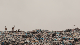 В Гане священник попытался заживо закопать младенца на свалке