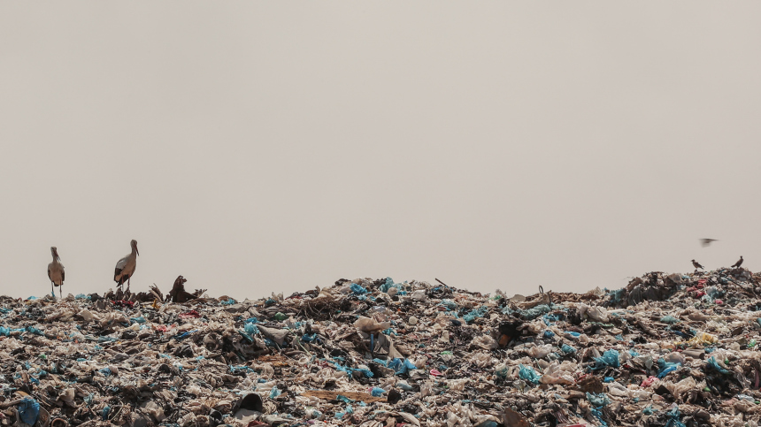 В Гане священник попытался заживо закопать младенца на свалке