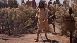 ИИ-Иисус: американская компания предлагает пользователям поговорить с «Богом»